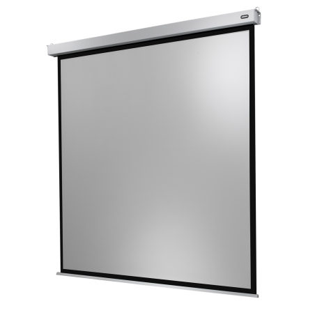 CELEXON Professional Plus Motorleinwand, Bildbreite: 300 cm