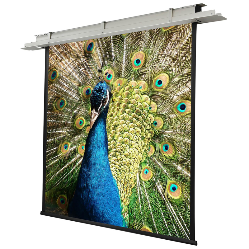 CELEXON Motor Expert Deckeneinbauleinwand