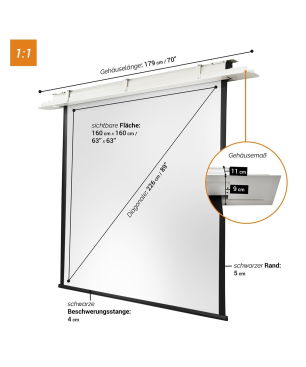 CELEXON Motor Expert Deckeneinbauleinwand