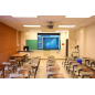 ELITE SCREENS Rollo 228,6 x 304,8 cm (4:3) 150" Rollo Leinwand