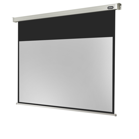 CELEXON Professional Motorleinwand, Bildbreite: 290 cm