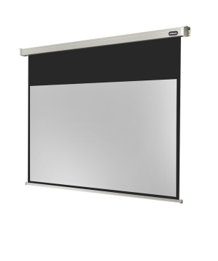 CELEXON Professional Motorleinwand, Bildbreite: 290 cm