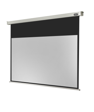 CELEXON Professional Motorleinwand