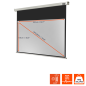 CELEXON Professional Motorleinwand
