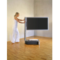WISSMANN RAUMOBJEKTE individual art 110-1 GR.1 TV Ständer, Edelstahl