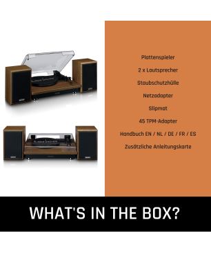 LENCO LS-100WD Plattenspieler Eiche