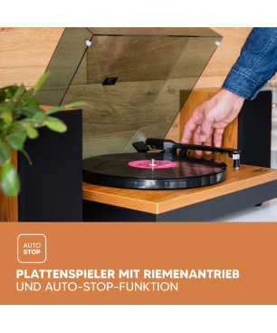 LENCO LS-300WD Plattenspieler Holz