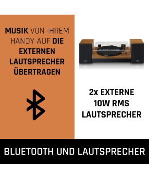 LENCO LS-310WD Plattenspieler Holz