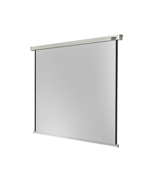 CELEXON Professional Motorleinwand, Gewicht: 18 kg
