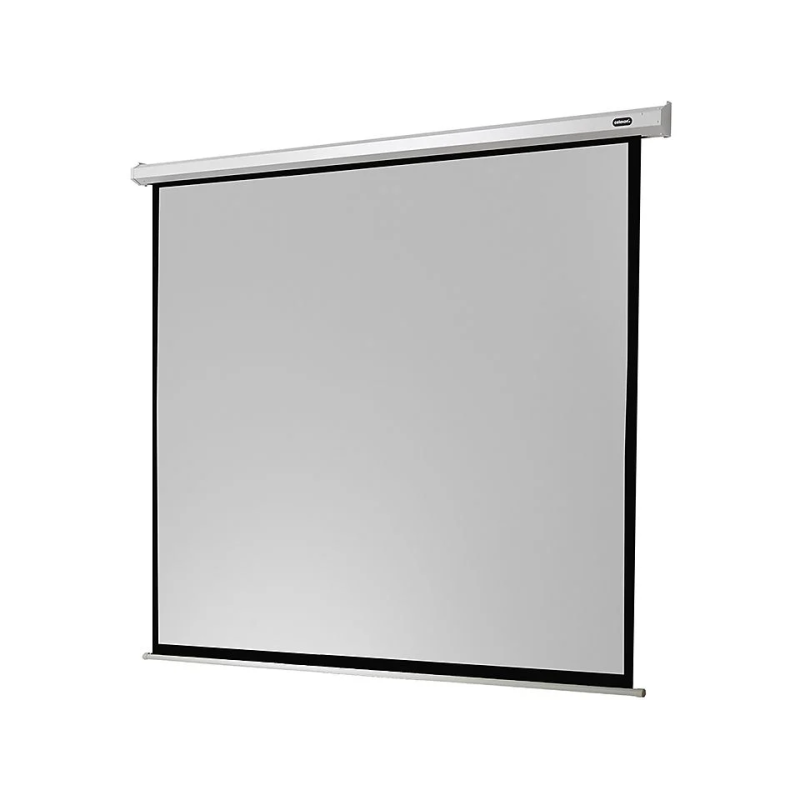 CELEXON Economy Motorleinwand 240 x 240 cm