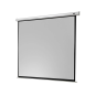 CELEXON Economy Motorleinwand 240 x 240 cm