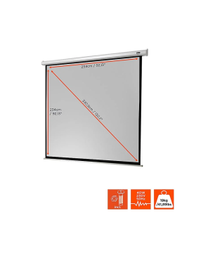 CELEXON Economy Motorleinwand 240 x 240 cm