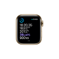 APPLE Watch Series 6 (GPS + Cellular) 40mm Smartwatch Edelstahl Fluorelastomer, 130 - 200 mm, Armband: Zyperngrün, Gehäuse: Gold