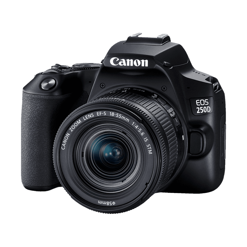 CANON EOS 250D Kit Spiegelreflexkamera, 24,1 Megapixel, 18-55 mm Objektiv (IS, STM, EF-S), Touchscreen Display