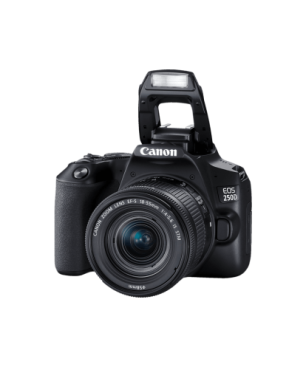 CANON EOS 250D Kit Spiegelreflexkamera, 24,1 Megapixel, 18-55 mm Objektiv (IS, STM, EF-S), Touchscreen Display