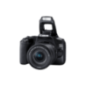 CANON EOS 250D Kit Spiegelreflexkamera, 24,1 Megapixel, 18-55 mm Objektiv (IS, STM, EF-S), Touchscreen Display