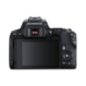 CANON EOS 250D Kit + Tasche SB130 und Speicherkarte SD 16 GB Spiegelreflexkamera, 24,1 Megapixel, 18-55 mm Objektiv CANON EOS 250D Kit + Tasche SB130 und Speicherkarte SD 16 GB Spiegelreflexkamera, 24,1 Megapixel, 18-55 mm Objektiv