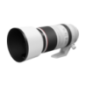 CANON RF 100 mm - 500 mm f./4.5-7.1 L-Reihe (Objektiv für Canon R-Mount, Weiß/Schwarz)