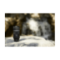 CANON RF 600 mm f./11 (Objektiv für Canon R-Mount, Schwarz)