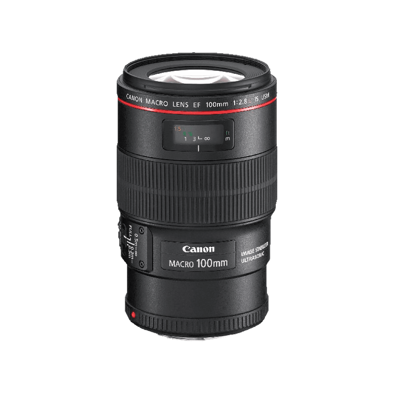 CANON EF 100mm F2.8L Macro IS USM - 100 mm f/2.8 EF, IS, USM, L-Reihe (Objektiv für Canon EF-Mount, Schwarz)