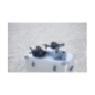 DJI FPV Combo Drohne Grau