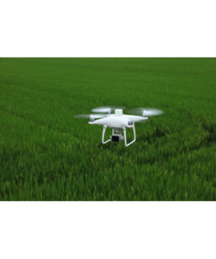 DJI P4 Multispectral