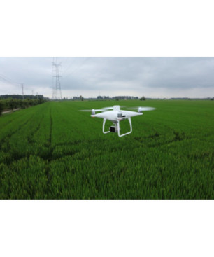 DJI P4 Multispectral