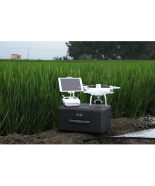 DJI P4 Multispectral