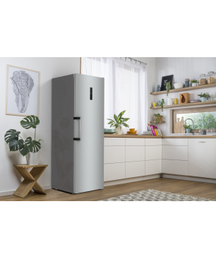 GORENJE R619DAXL6 Gorenje Advanced Line Kühlschrank (98,0 kWh/Jahr, D, 1850 mm hoch, Silber)