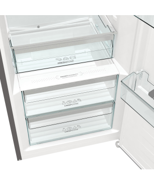 GORENJE R619DAXL6 Gorenje Advanced Line Kühlschrank (98,0 kWh/Jahr, D, 1850 mm hoch, Silber)