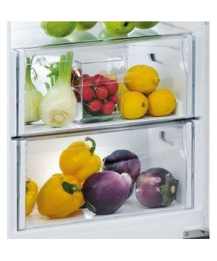 WHIRLPOOL ARG184701 Kühlschrank (F, 177,1 cm hoch, Weiß)