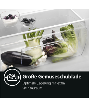 AEG SKB588E1AE Kühlschrank (E, 881 mm hoch, Weiß)