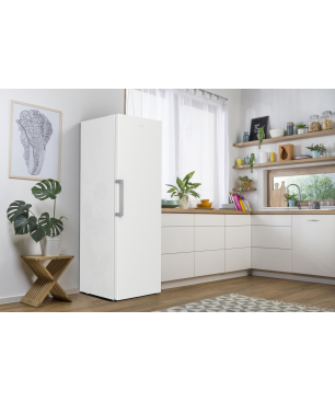 GORENJE FN 619 EEW 5 Gefrierschrank (E, 1850 mm hoch)