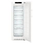 LIEBHERR GN 3735-21_999406451 Gefrierschrank (E, 1650 mm hoch)