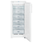 LIEBHERR GNw 1460-6 Gefrierschrank (F, 195 Liter, 1447 mm hoch)