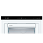 BOSCH GSN51AWDV Gefrierschrank (D, 290 Liter, 1610 mm hoch) BOSCH GSN51AWDV Gefrierschrank (D, 290 Liter, 1610 mm hoch)