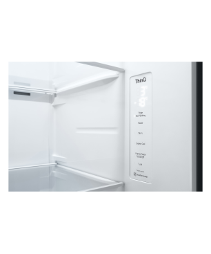 LG GSLV71PZTE Side-by-Side (E, 1790 mm hoch, Platinum Silver)