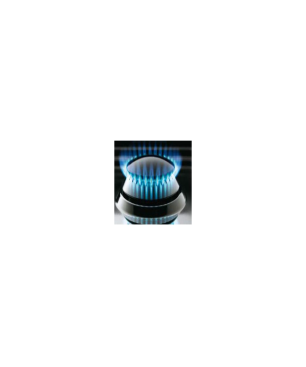 FRATELLI Professional Range Cooker Standherd (EEK A, Gas, 100 Liter)