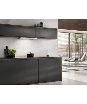 MIELE DAS 4620, Dunstabzugshaube (596 mm breit, 273 mm tief)