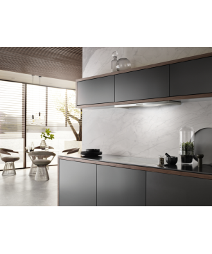 MIELE DAS 2920, Dunstabzugshaube (896 mm breit, 273 mm tief)