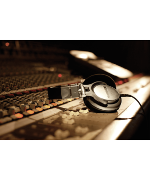 SHURE SRH940, Over-ear Kopfhörer Silber/Schwarz