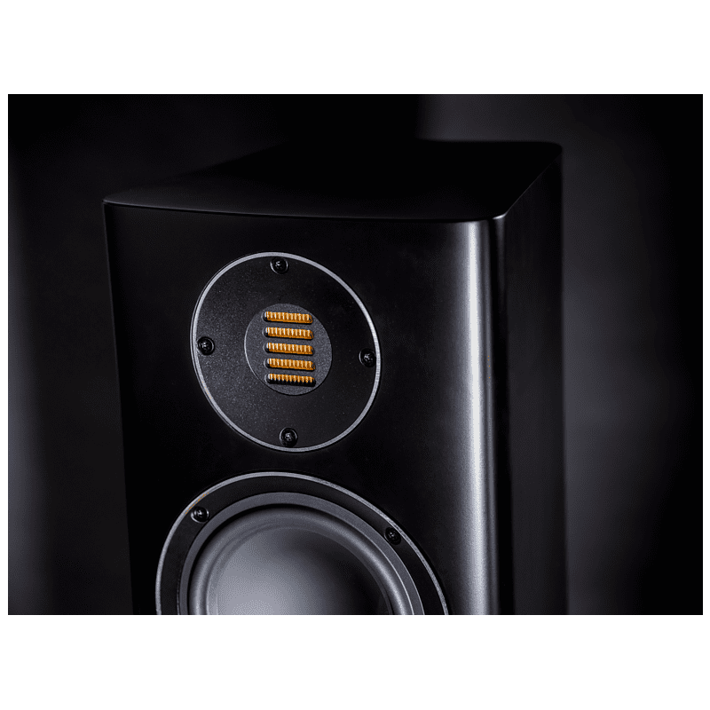 ELAC Carina FS 247 HiFi Lautsprecher (Hochtöner: Nach JET-Prinzip gefalteter Air-Motion-Transformer, Tieftöner: 2 x 150 mm
