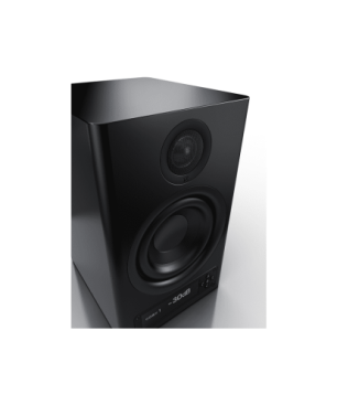 NUBERT nuPro X-3000 RC Aktivlautsprecher (aktiv | Regallautsprecher, Schwarz)