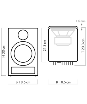 NUBERT nuPro X-3000 RC Aktivlautsprecher (aktiv | Regallautsprecher, Schwarz)