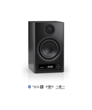 NUBERT nuPro X-3000 RC Aktivlautsprecher (aktiv | Regallautsprecher, Schwarz)