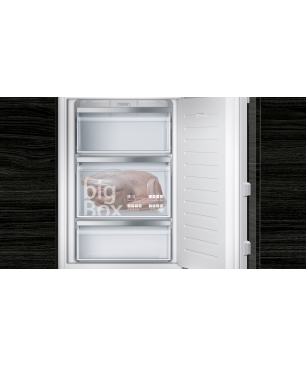SIEMENS GI21VAFE0 Gefrierschrank (E, 98 Liter, 874 mm hoch)