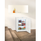 LIEBHERR GNP 1076-20 Gefrierschrank (D, 99 Liter, 851 mm hoch)