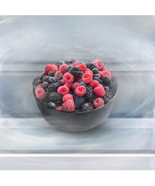 SAMSUNG RF5GA5202B1/EG French Door (F, 1776 mm hoch, Premium Black Steel/Urban Silver)