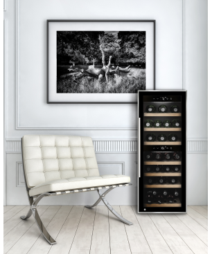 CASO 653 Weinklimaschrank (EEK G, Edelstahll/Schwarz)