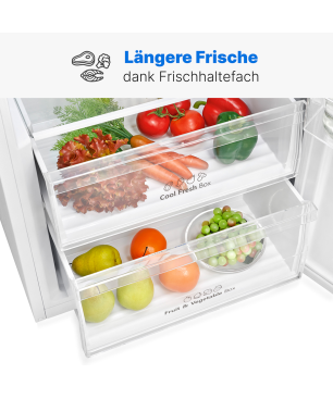 BOMANN VS 7345 Kühlschrank (E, 172 cm hoch, Weiß)